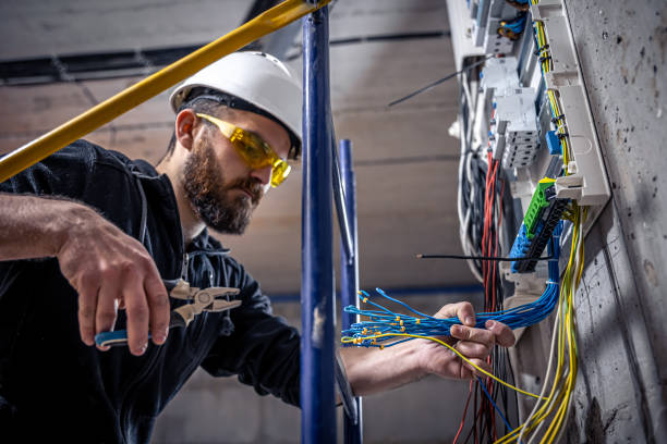 Best Local Electrician Companies  in Cheval, FL