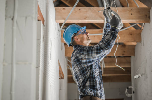 Best Ceiling Fan Installation Electrician  in Cheval, FL