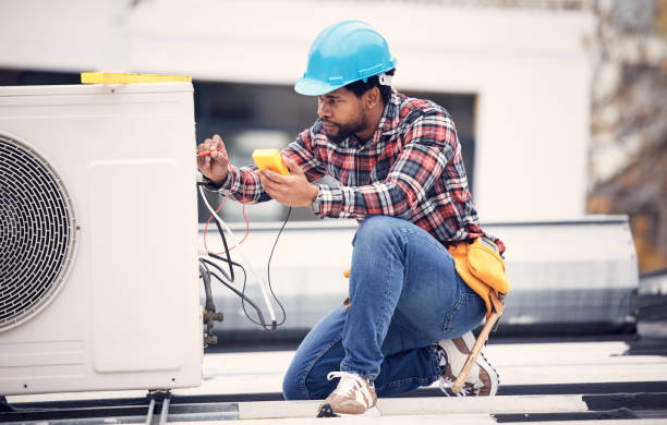 Best Electric Panel Repair  in Cheval, FL