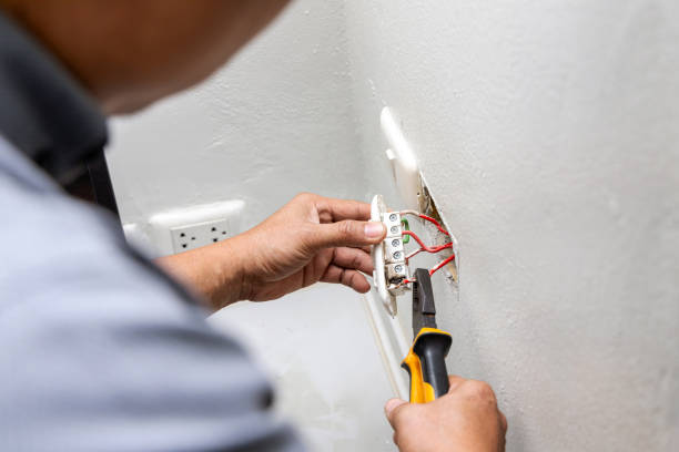 Best Industrial Electrical Services  in Cheval, FL