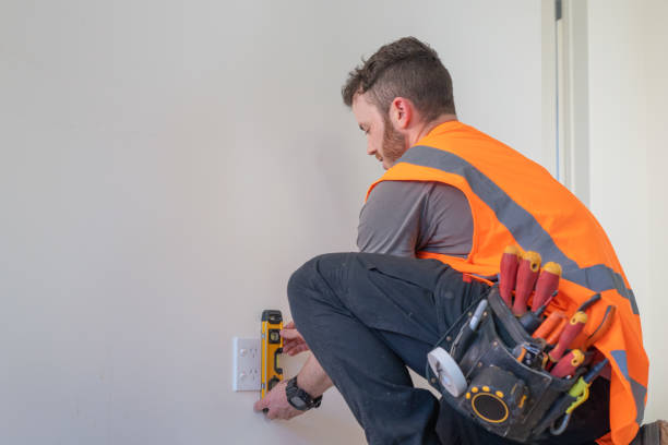 Best Electrical Troubleshooting Services  in Cheval, FL