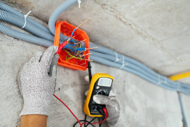 Best Home Electrical Repair  in Cheval, FL